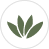 icon leaf 4