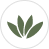 leaf icon 4