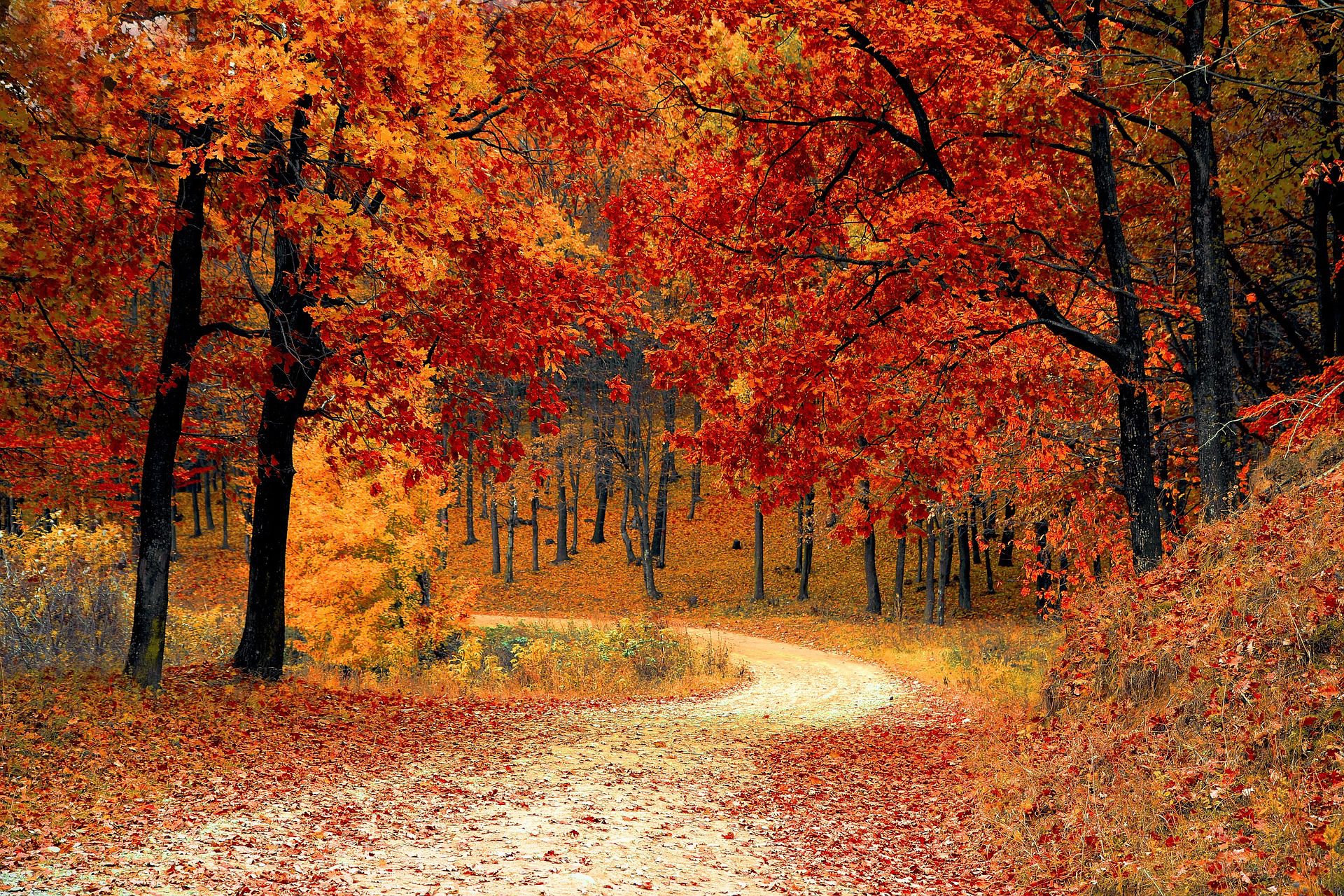 road-geccadc48f_1920