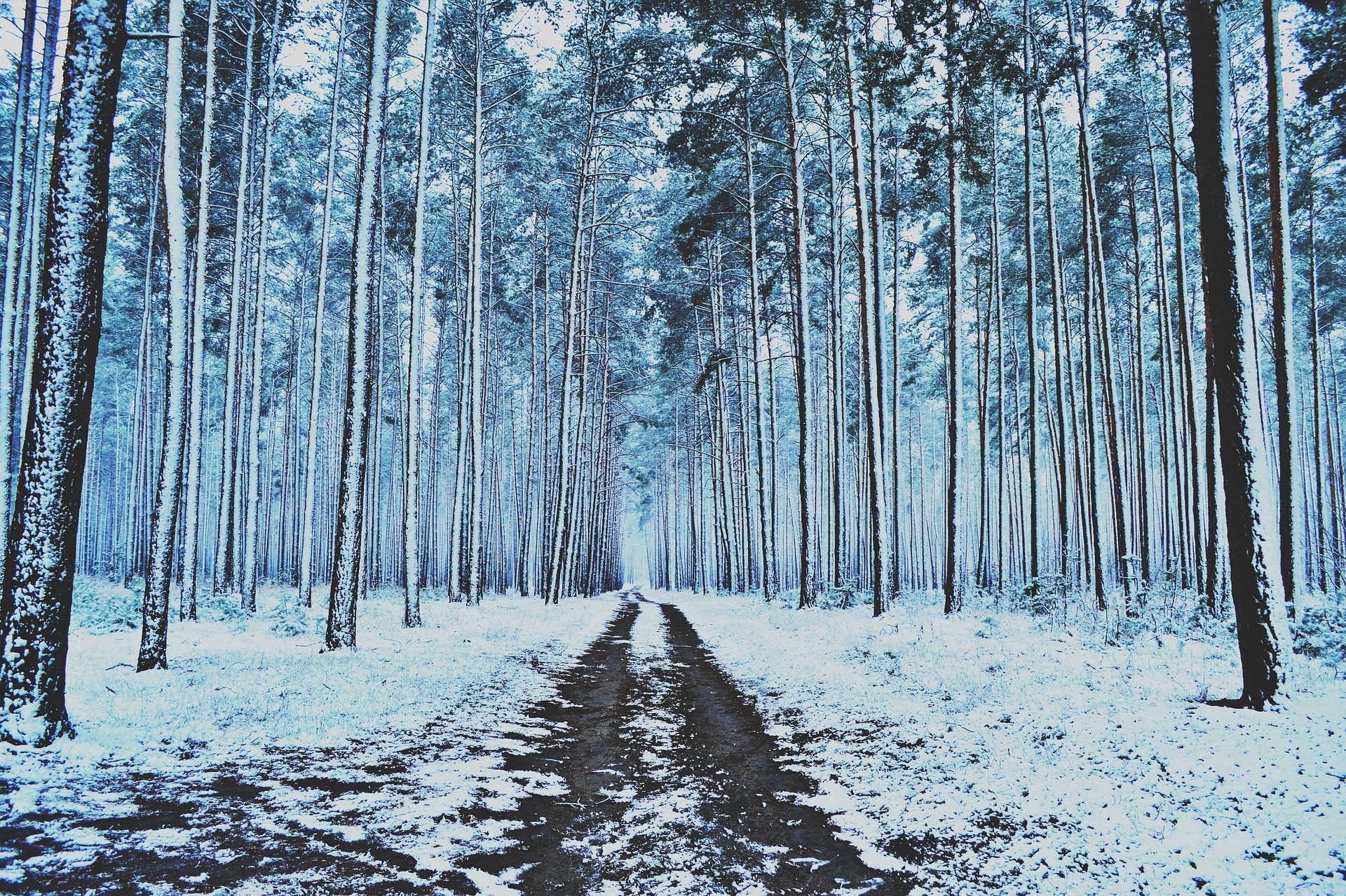 winter-gec1dca96e_1920